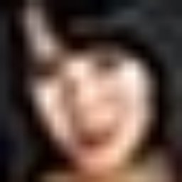 世羅百合花
