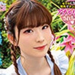 本居あかめ