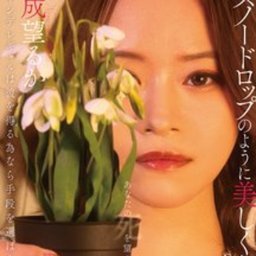 成望るか